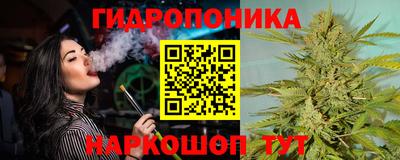 гидропоника Можга