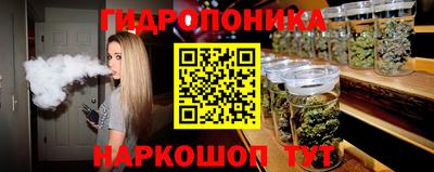 гидропоника Можга