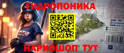 гидропоника Можга