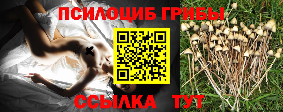 Псилоцибиновые грибы MAGIC MUSHROOMS  как найти закладки  Ростов Великий  Вход с VPN 